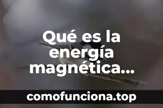 Qué es la energía del sol 3 Qué es la energía magnética almacenada en un conductor
