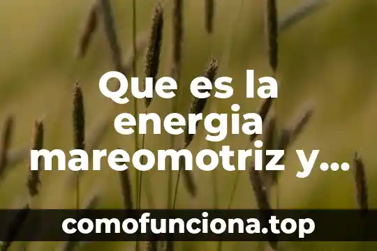 Qué es lo que produce el movimiento 3 Que es la energia mareomotriz y como se produce