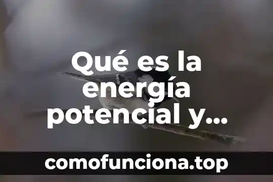Qué es un ensayo académico y cuál es su estructura 8 Qué es la energía potencial y cinética portal académico cch