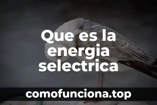 Que es insumos en alimentos 3 Que es la energia selectrica