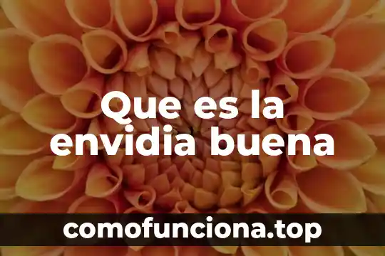 Para que es buena la flor de bugambilia 8 Que es la envidia buena