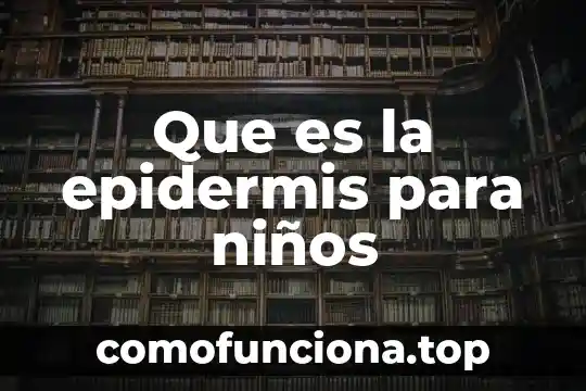 Que es molcajete para niños 6 Que es la epidermis para niños