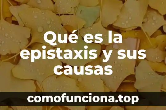 Qué es un terremoto sus causas y sus precauciones 3 Qué es la epistaxis y sus causas