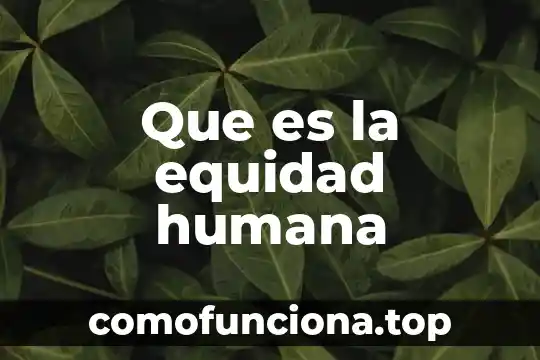 Que es valores de equidad 5 Que es la equidad humana