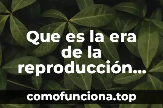 Qué es la era moderna y sus características 3 Que es la era de la reproducción mecanica