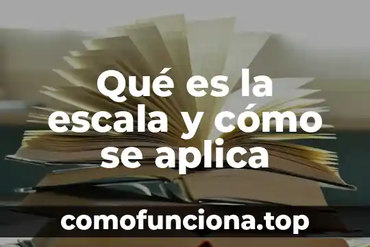 Que es la escala del conocimiento 3 Qué es la escala y cómo se aplica