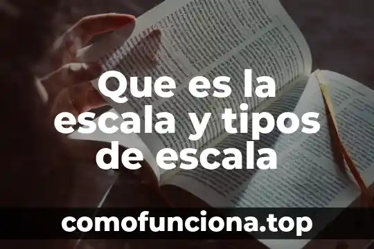 Que es la escala del conocimiento 5 Que es la escala y tipos de escala