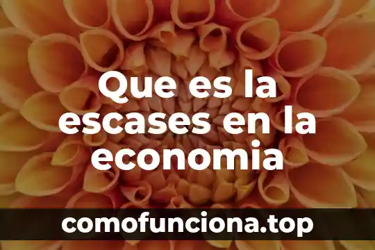 Qué es repuderación en economía 6 Que es la escases en la economia