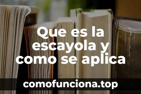 Que es la mayeutica y como se aplica 6 Que es la escayola y como se aplica