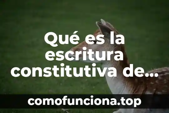 Qué es sociedad anónima SAS 8 Qué es la escritura constitutiva de una sociedad anónima