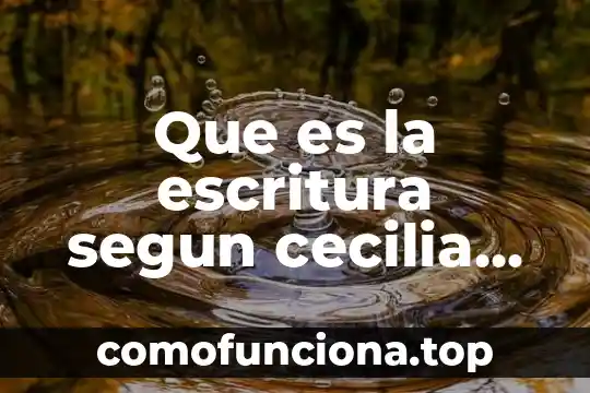 Que es el razonamiento y tipos de razonamiento 6 Que es la escritura segun cecilia fierro