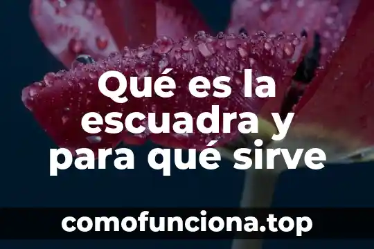 Que es el movimiento y para que sirve 8 Qué es la escuadra y para qué sirve