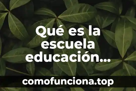 Que es estudio medio superior 3 Qué es la escuela educación superior