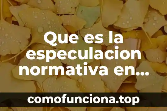 Que es la justicia como fin del derecho 7 Que es la especulacion normativa en la filosofia del derecho