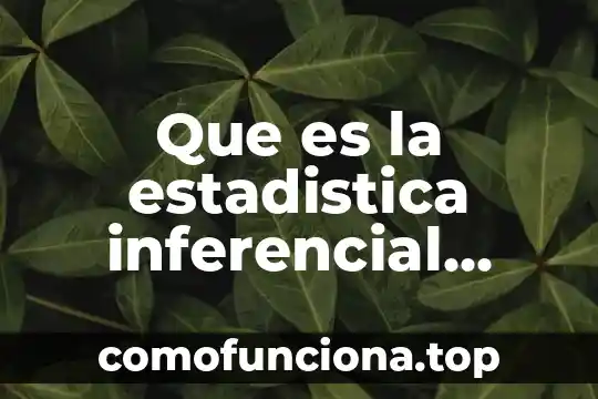 Que es el ser humano con tus propias palabras 6 Que es la estadistica inferencial propias palabras