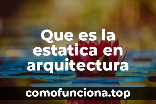 Que es mejor dhcp o ip estatica 7 Que es la estatica en arquitectura