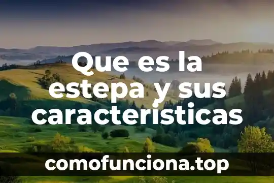 Que es la preposición y sus caracteristicas 5 Que es la estepa y sus caracteristicas