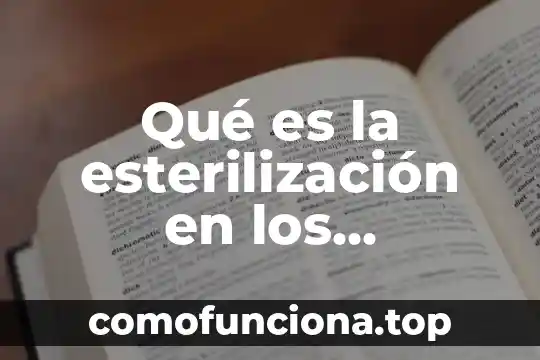 Que es on7 en electrica 5 Qué es la esterilización en los alimentos