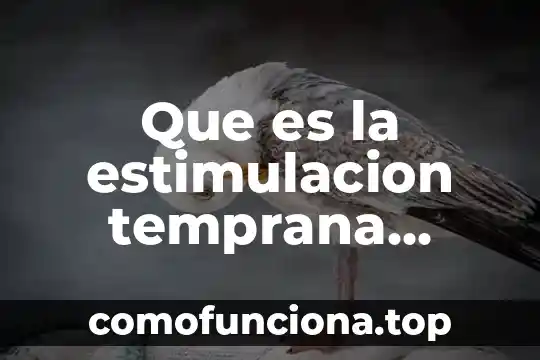 Que es la historia segun un historiador 3 Que es la estimulacion temprana segun piaget
