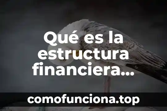 Qué es concepto de divitación 5 Qué es la estructura financiera concepto
