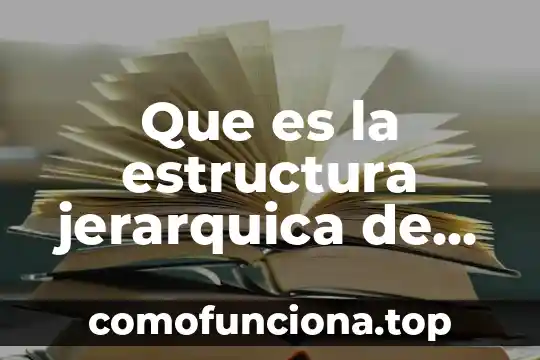 Por que es importante la cultura organizacional en una empresa 8 Que es la estructura jerarquica de una empresa ejemplo