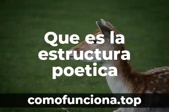 Que es el movimiento poetica de la edad media 3 Que es la estructura poetica