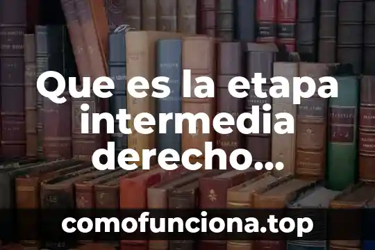 Qué es la filosofía en la etapa de la planeación 5 Que es la etapa intermedia derecho procesal penal