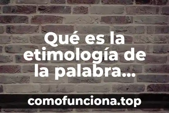 Que es la etimología de los cuidados de enfermeria 5 Qué es la etimología de la palabra cultura