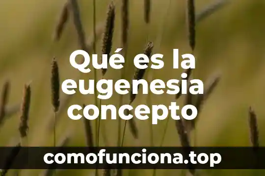 Que es el preambulo concepto 5 Qué es la eugenesia concepto