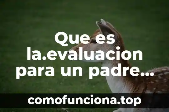 Que es ser un padre guay 4 Que es la.evaluacion para un padre de familia