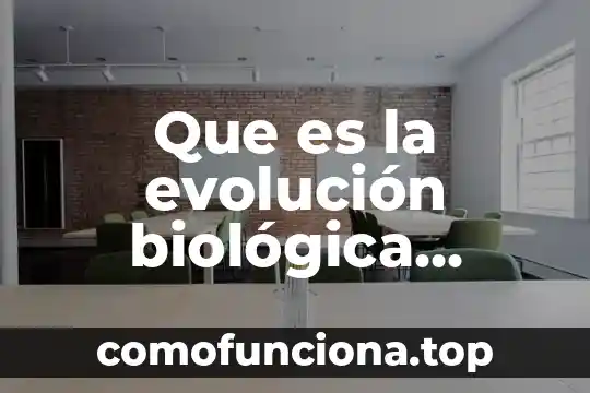 Que es la productividad biologica geoquimica 6 Que es la evolución biológica definición