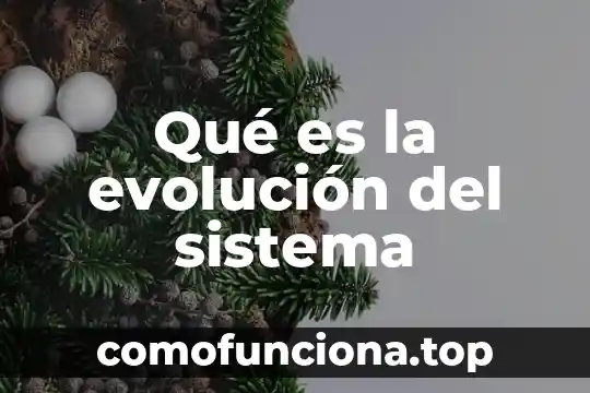 Que es evolucion concepto 7 Qué es la evolución del sistema