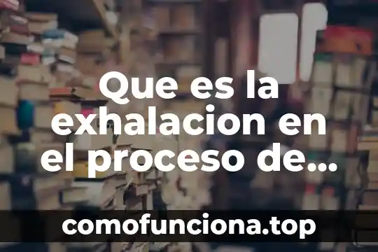 Qué es una estrella y como está formada 7 Que es la exhalacion en el proceso de respiracion