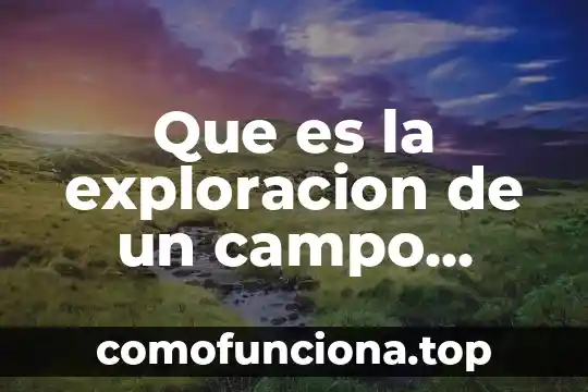 Que es campo magnectico 6 Que es la exploracion de un campo petrolero