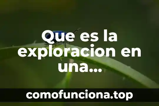 Why que es 6 Que es la exploracion en una investigacion de mercado