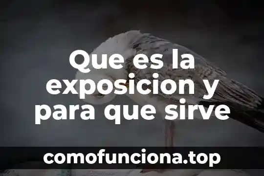 Que es la flor de loto y para que sirve 7 Que es la exposicion y para que sirve