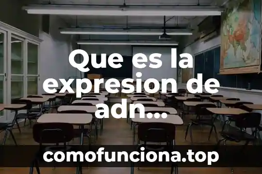 Qué es expresión artística para niños 3 Que es la expresion de adn caracteristicas