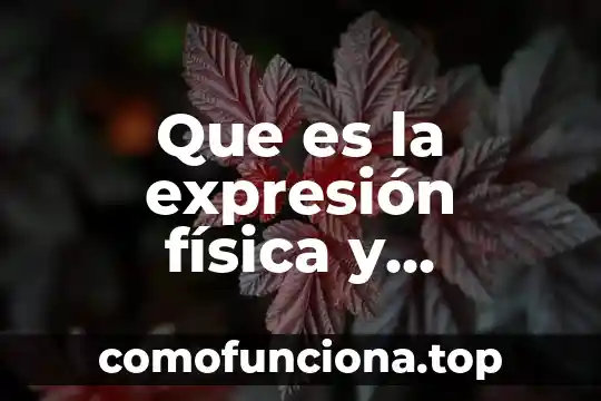 Que es tenencia a la fisica 6 Que es la expresión física y artistica