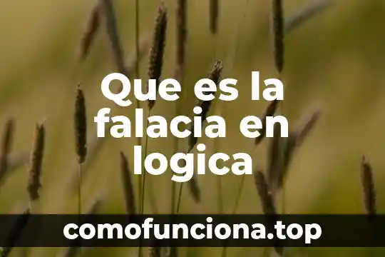 Que es lógica moderna 3 Que es la falacia en logica
