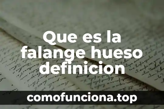 Qué es un método de estudio definición 5 Que es la falange hueso definicion