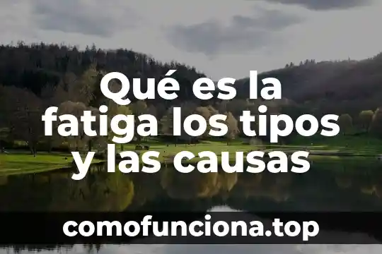 Que es el modo y sus tipos 7 Qué es la fatiga los tipos y las causas