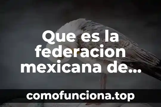 Que es el atletismo historia resumen 6 Que es la federacion mexicana de atletismo