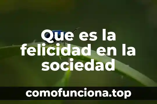 Que es la libertad y la sociedad 5 Que es la felicidad en la sociedad