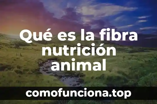 Que es una nutrición para niños 6 Qué es la fibra nutrición animal