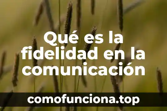 Que es modelo de la comunicacion 4 Qu茅 es la fidelidad en la comunicaci贸n