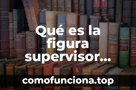 Qué es un lineamiento interno y externo 6 Qué es la figura supervisor externo de obra