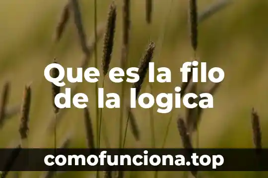 Que es inteligencia lógica 6 Que es la filo de la logica