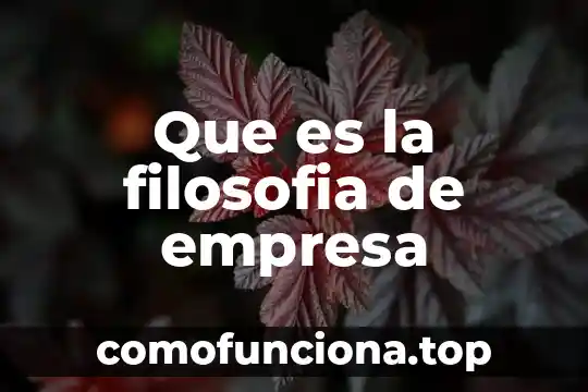Qué es un accidente en filosofía 6 Que es la filosofia de empresa