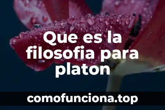 Que es el color en filosofia 4 Que es la filosofia para platon