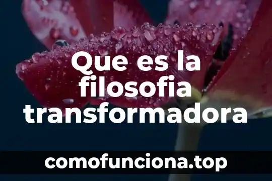 Introduccion de lo que es la filosofía 5 Que es la filosofia transformadora